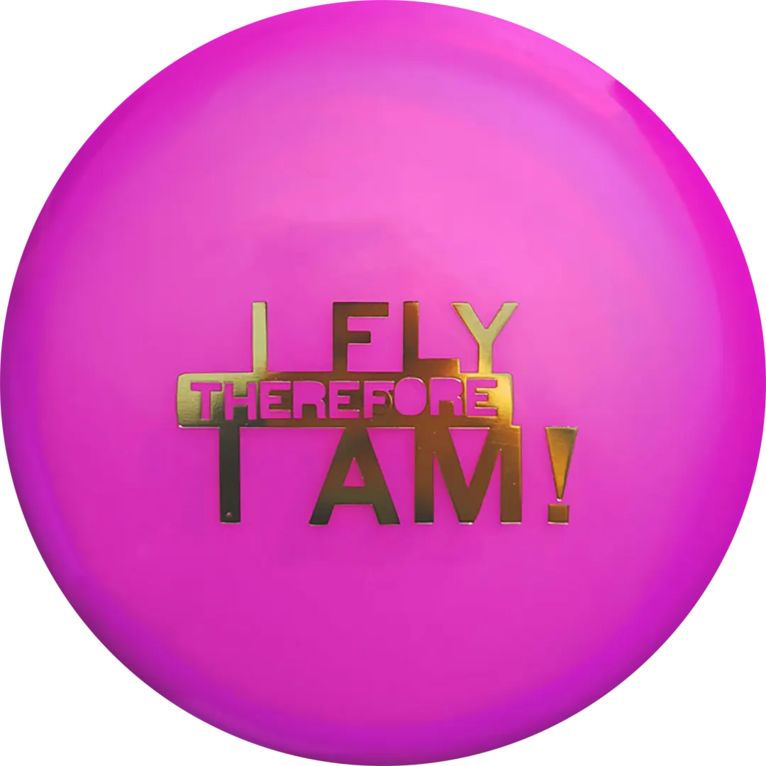 K1 Reko I Fly Therefore I Am