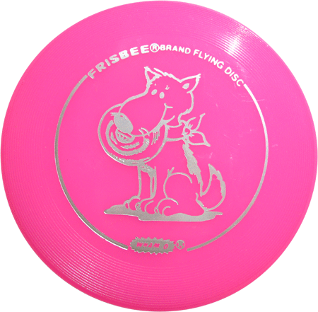 Mini Frisbee Dog Sitting